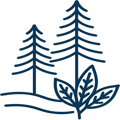 Hickory Icon